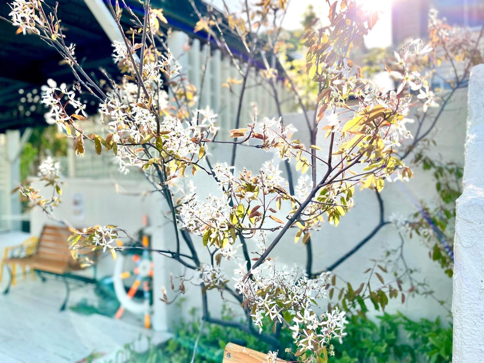 فندق Shinsei Shakotan المظهر الخارجي الصورة